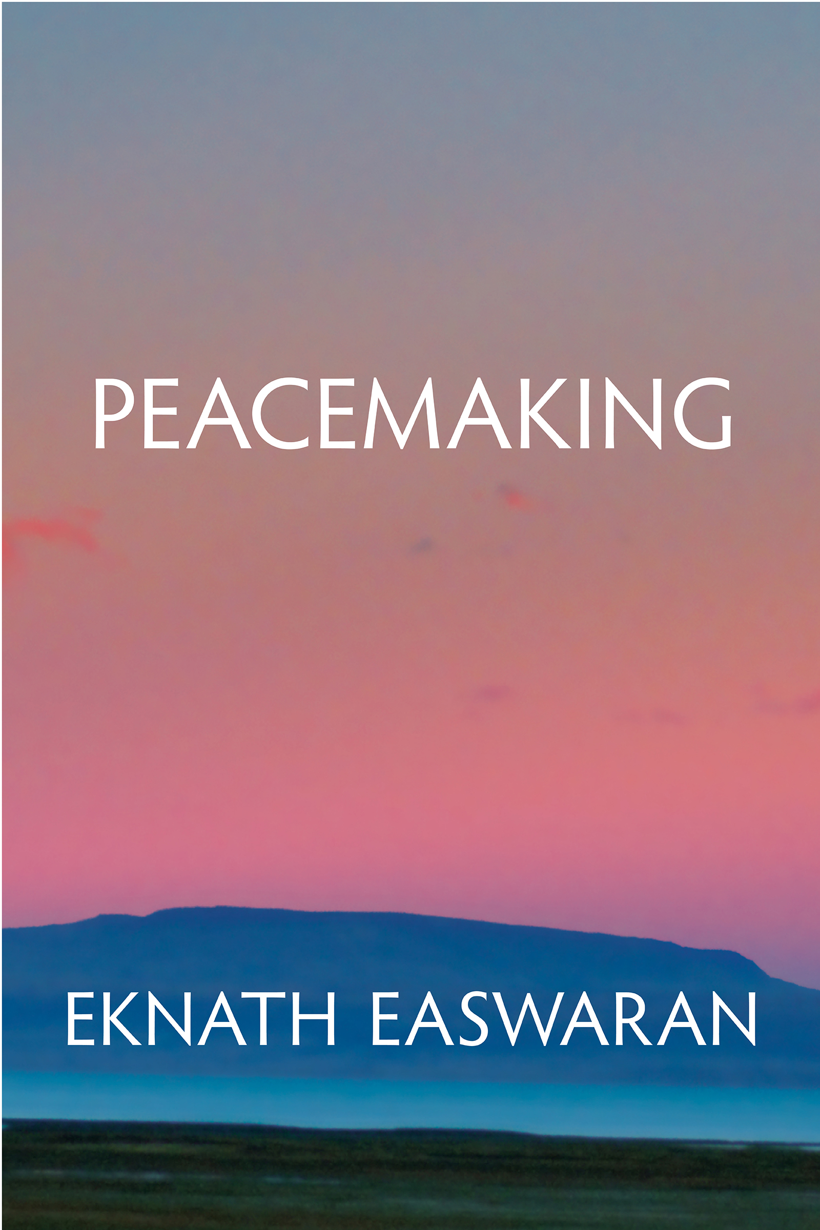 Cover image for Peacemaking
