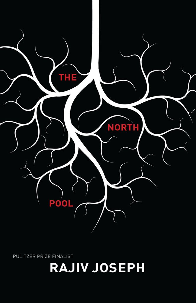 Cover image for The North Pool
