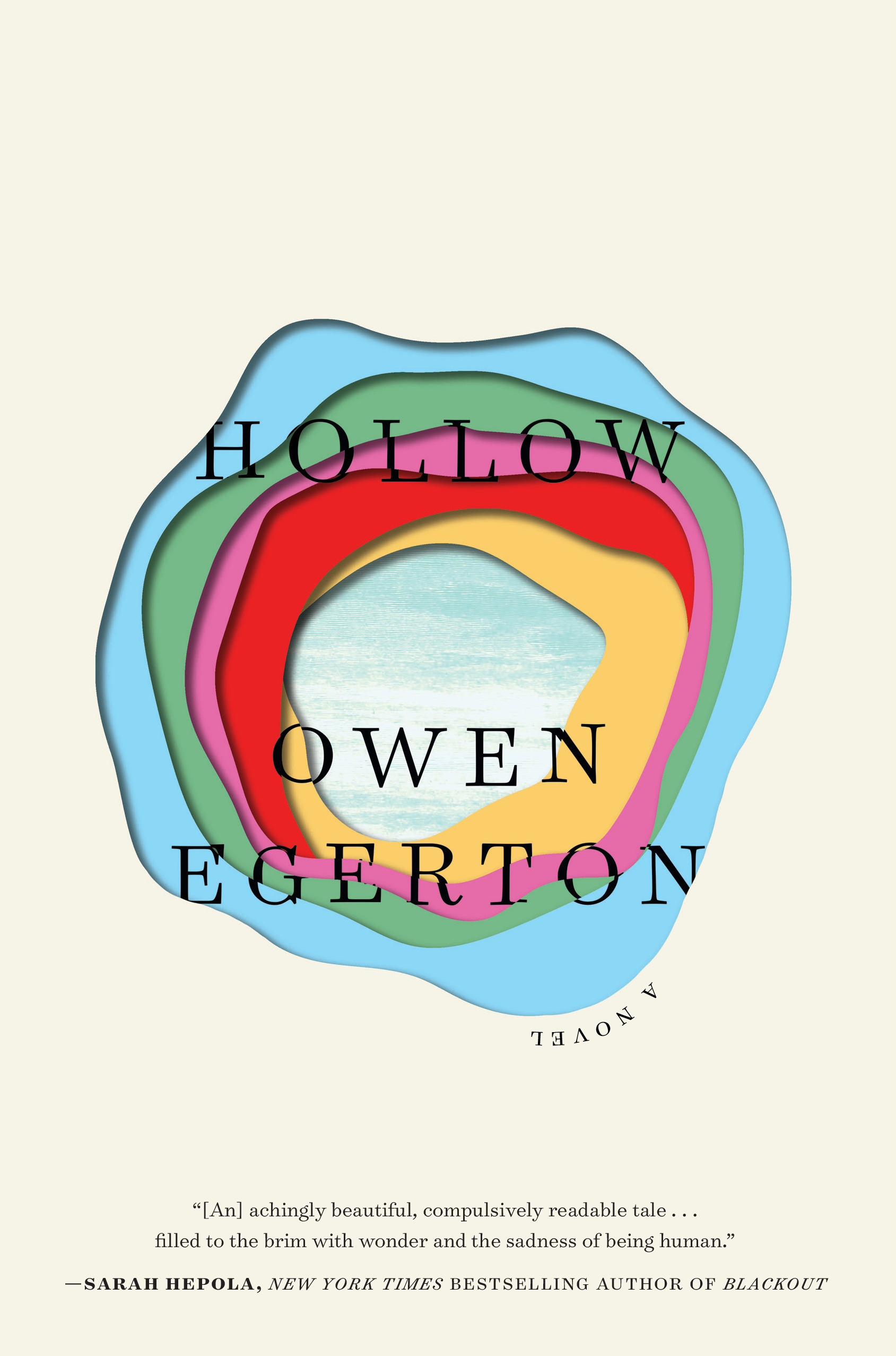 Cover image for Hollow