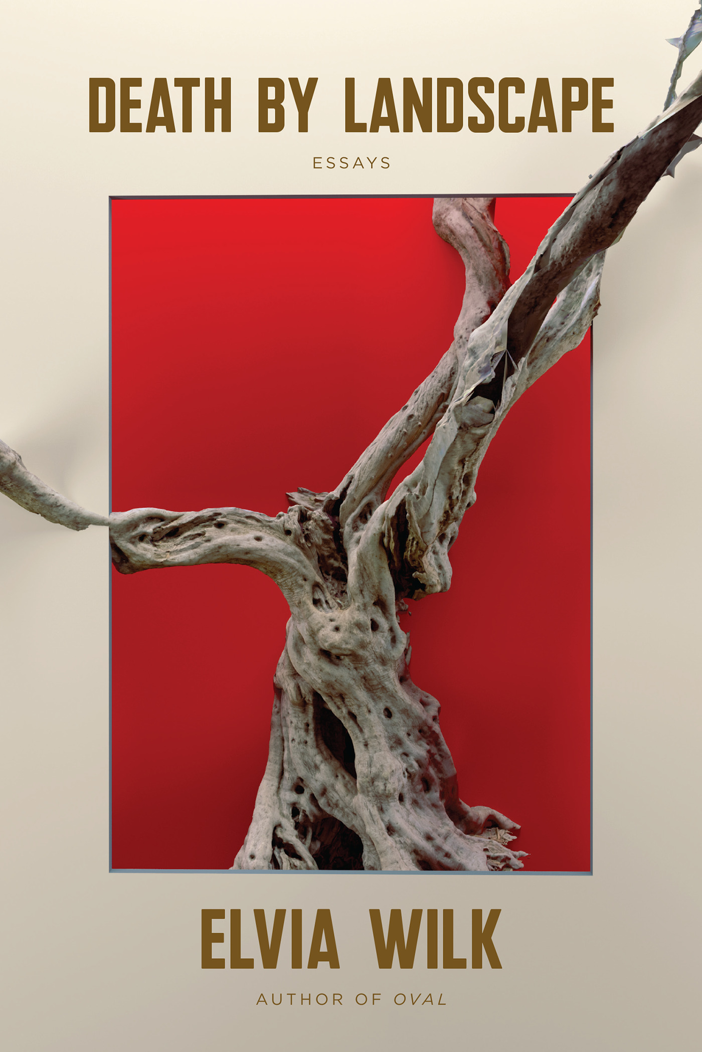 Cover image for Death by Landscape