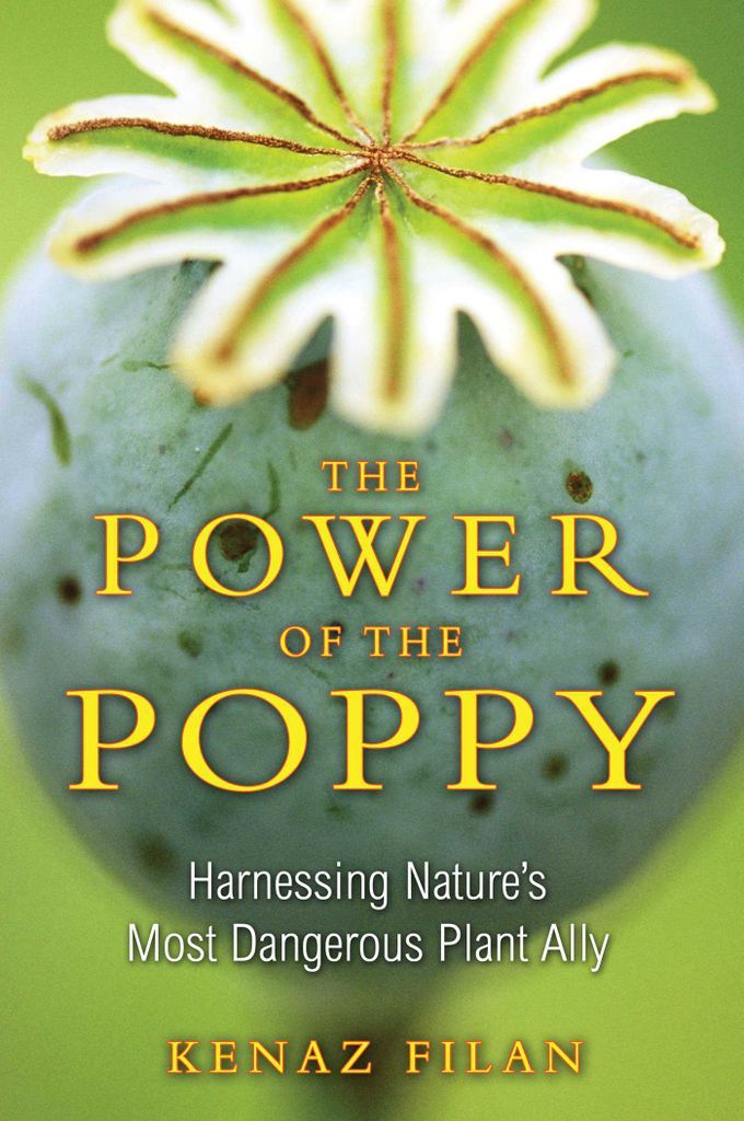 Cover image for The Power of the Poppy