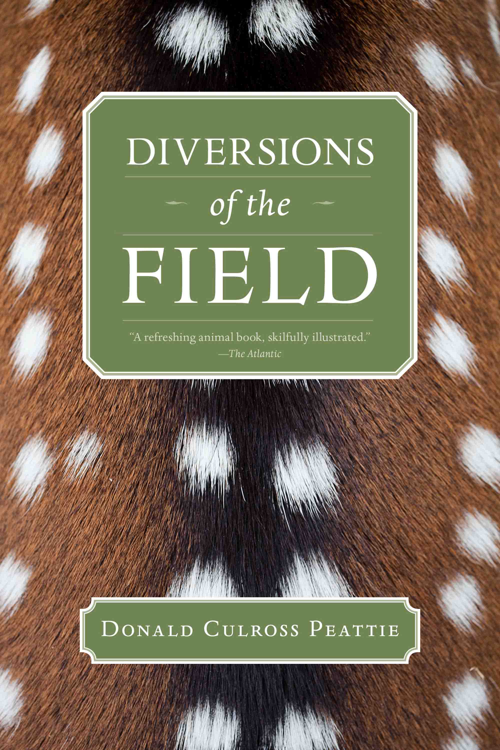 Cover image for Diversions of the Field