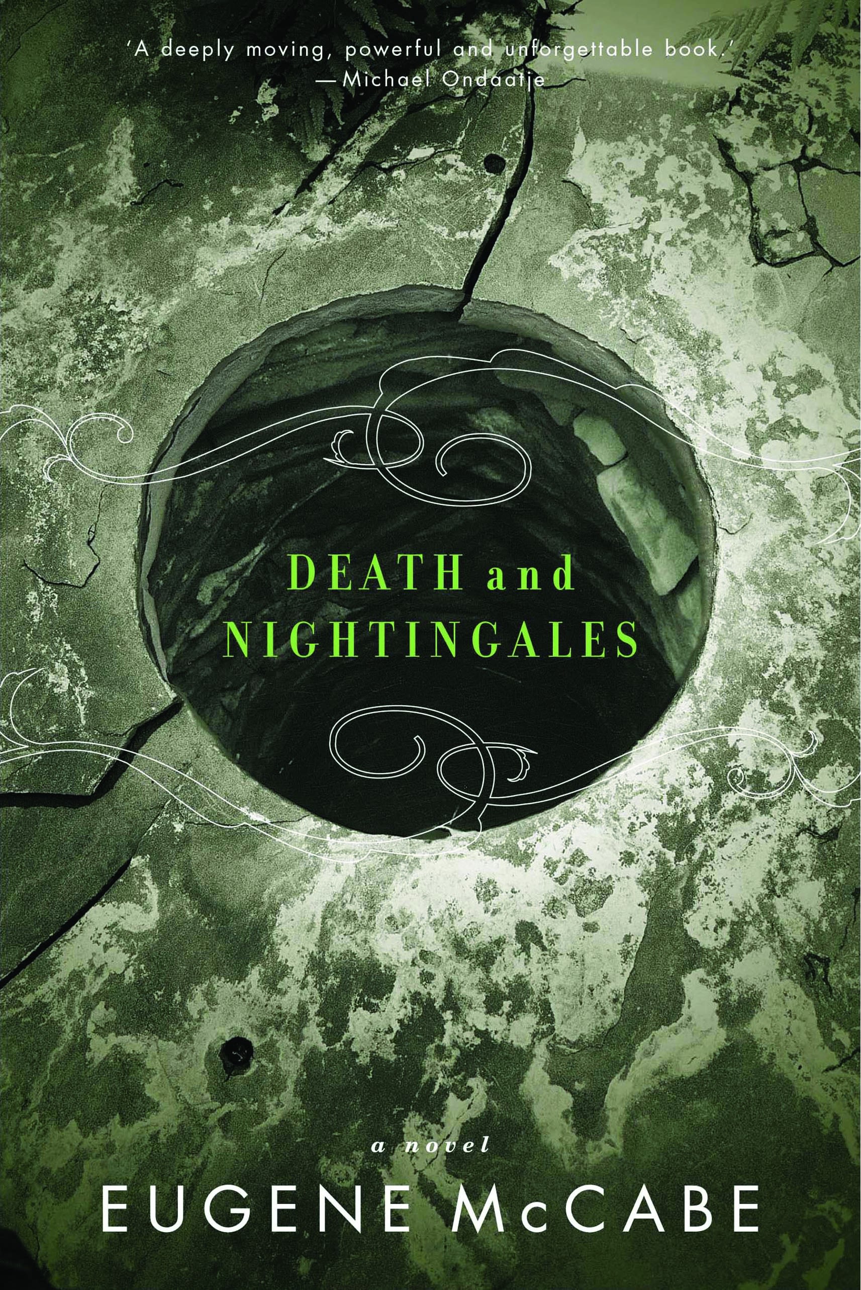 Cover image for Death and Nightingales