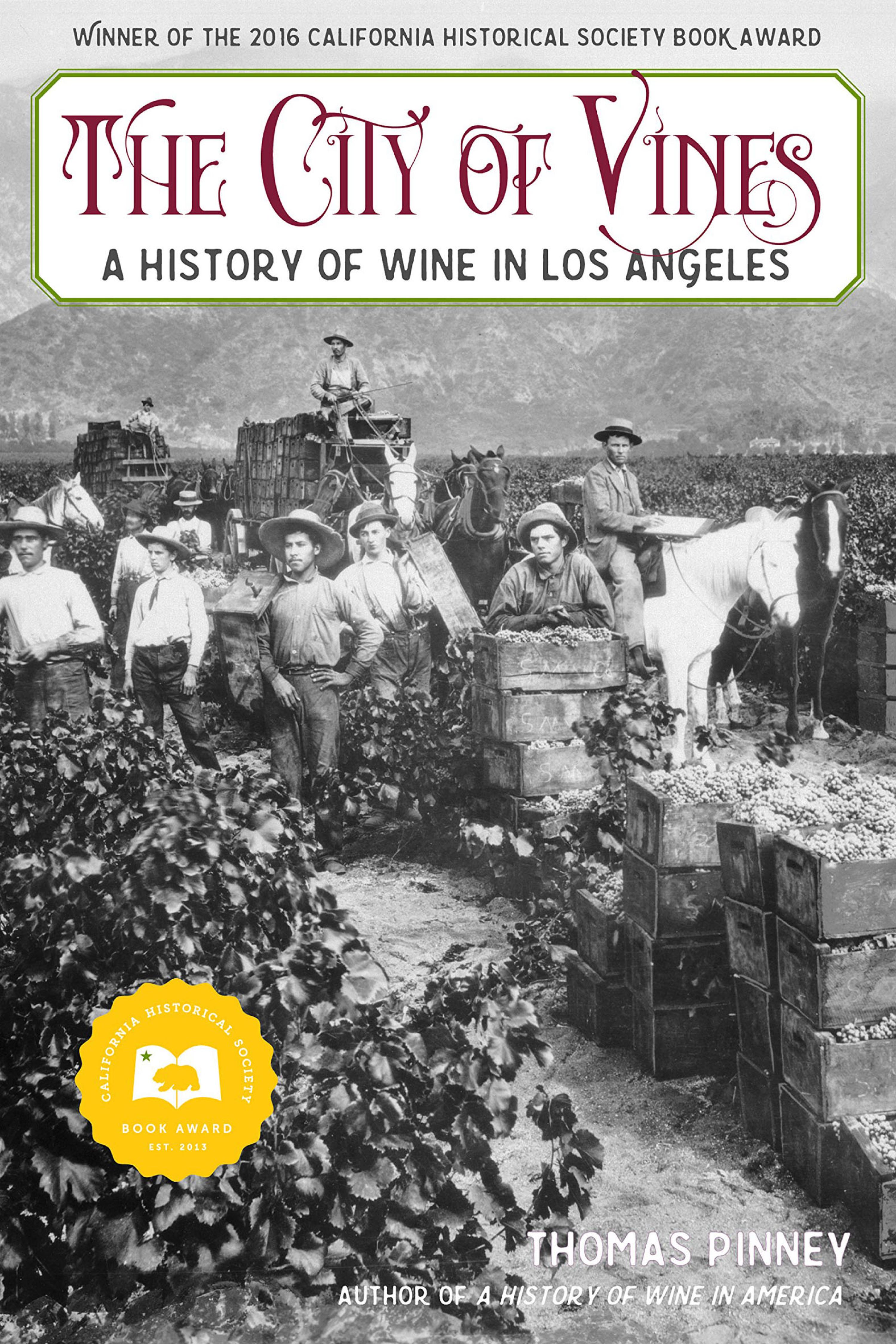 Cover image for The City of Vines