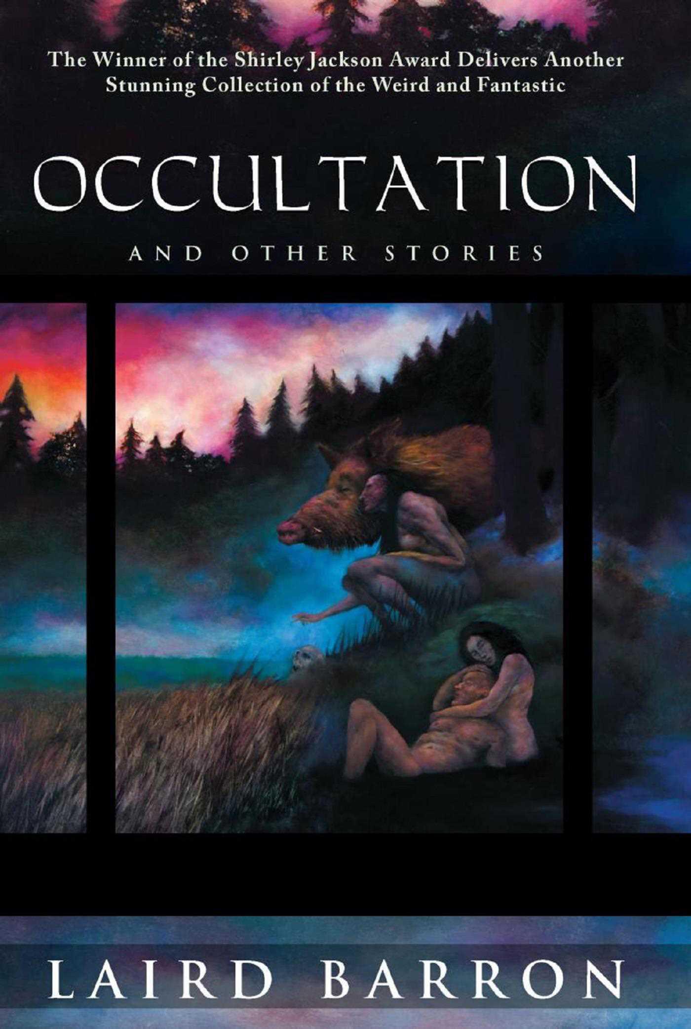 Cover image for Occultation