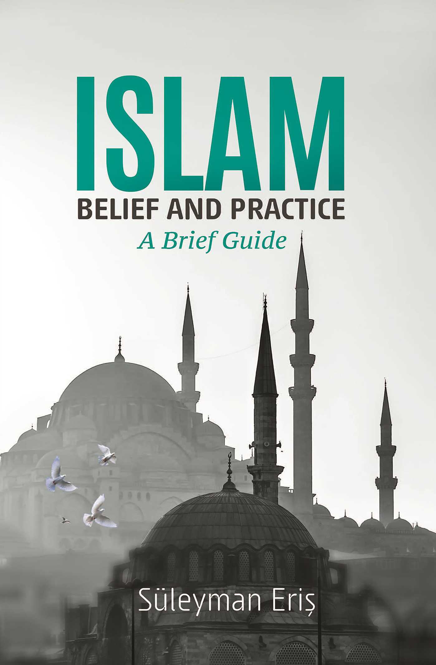 Cover image for Islam: Belief And Practice