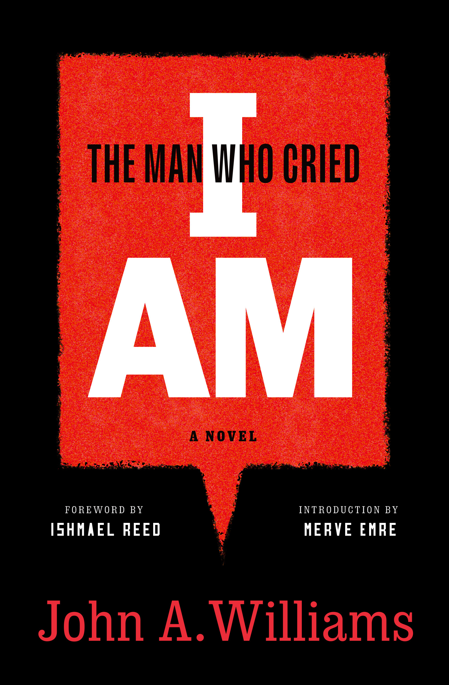 Cover image for The Man Who Cried I Am: A Novel