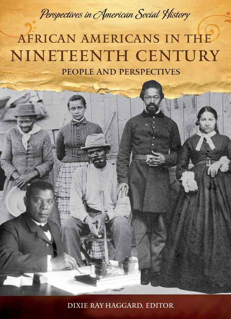 Cover image for African Americans in the Nineteenth Century