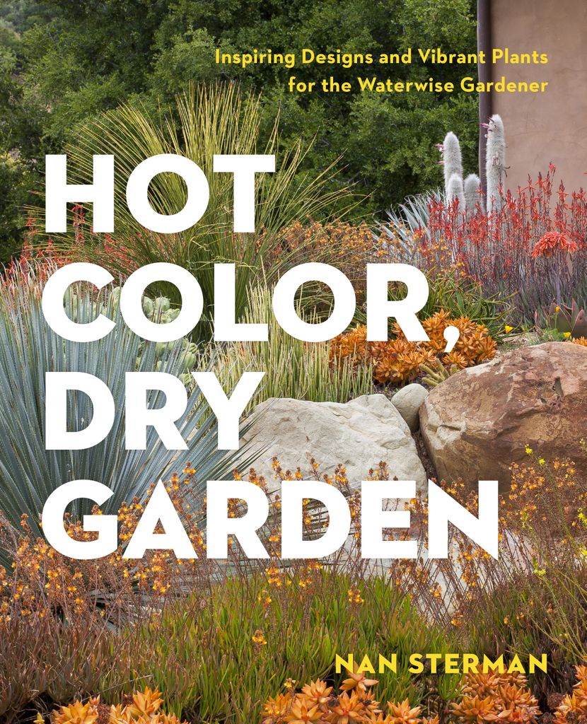 Cover image for Hot Color, Dry Garden