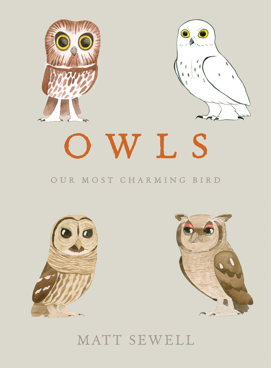 Cover image for Owls