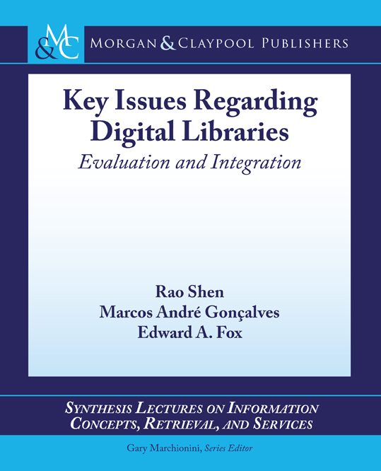 Key Issues Regarding Digital Libraries