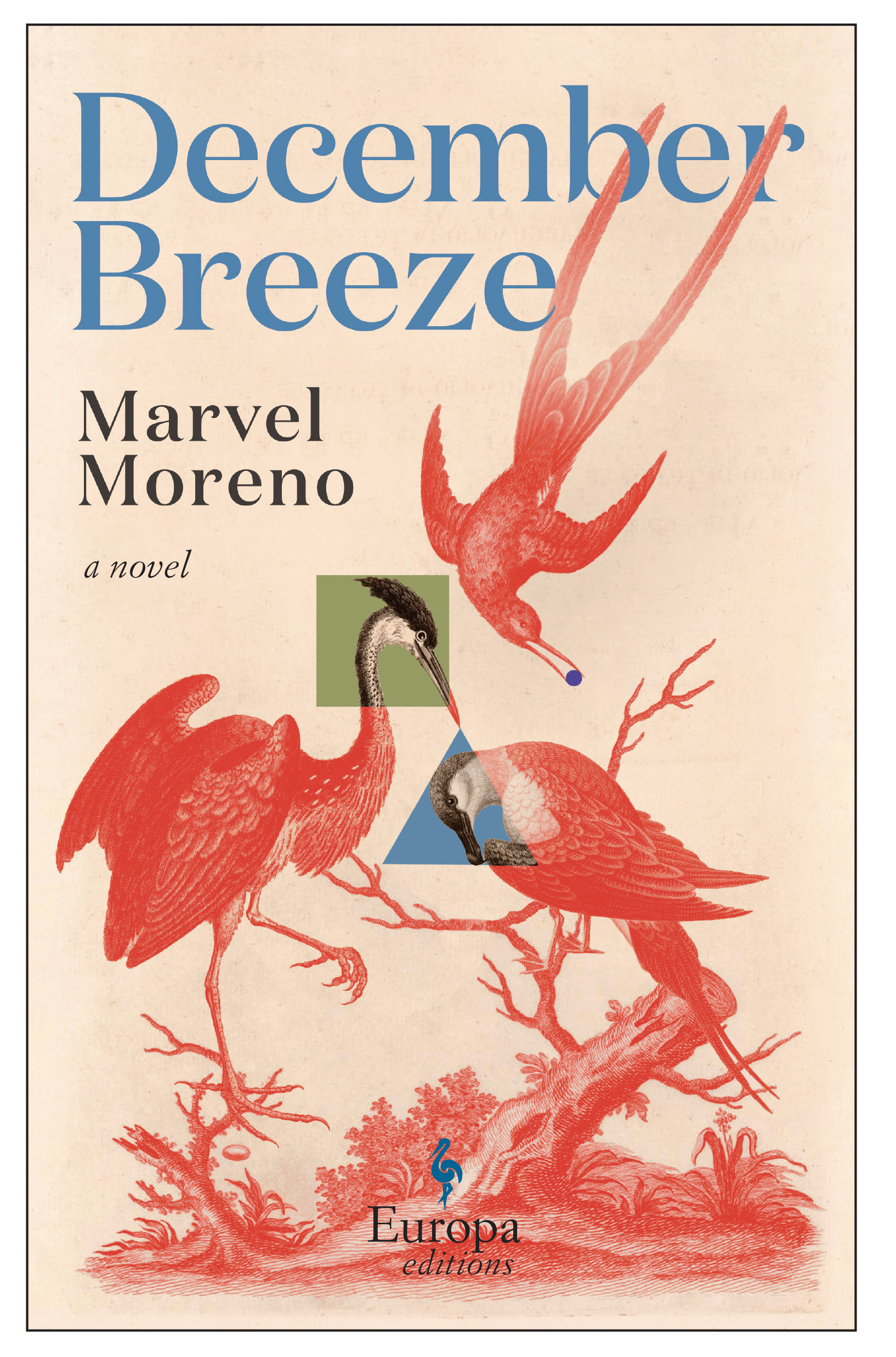 Cover image for December Breeze