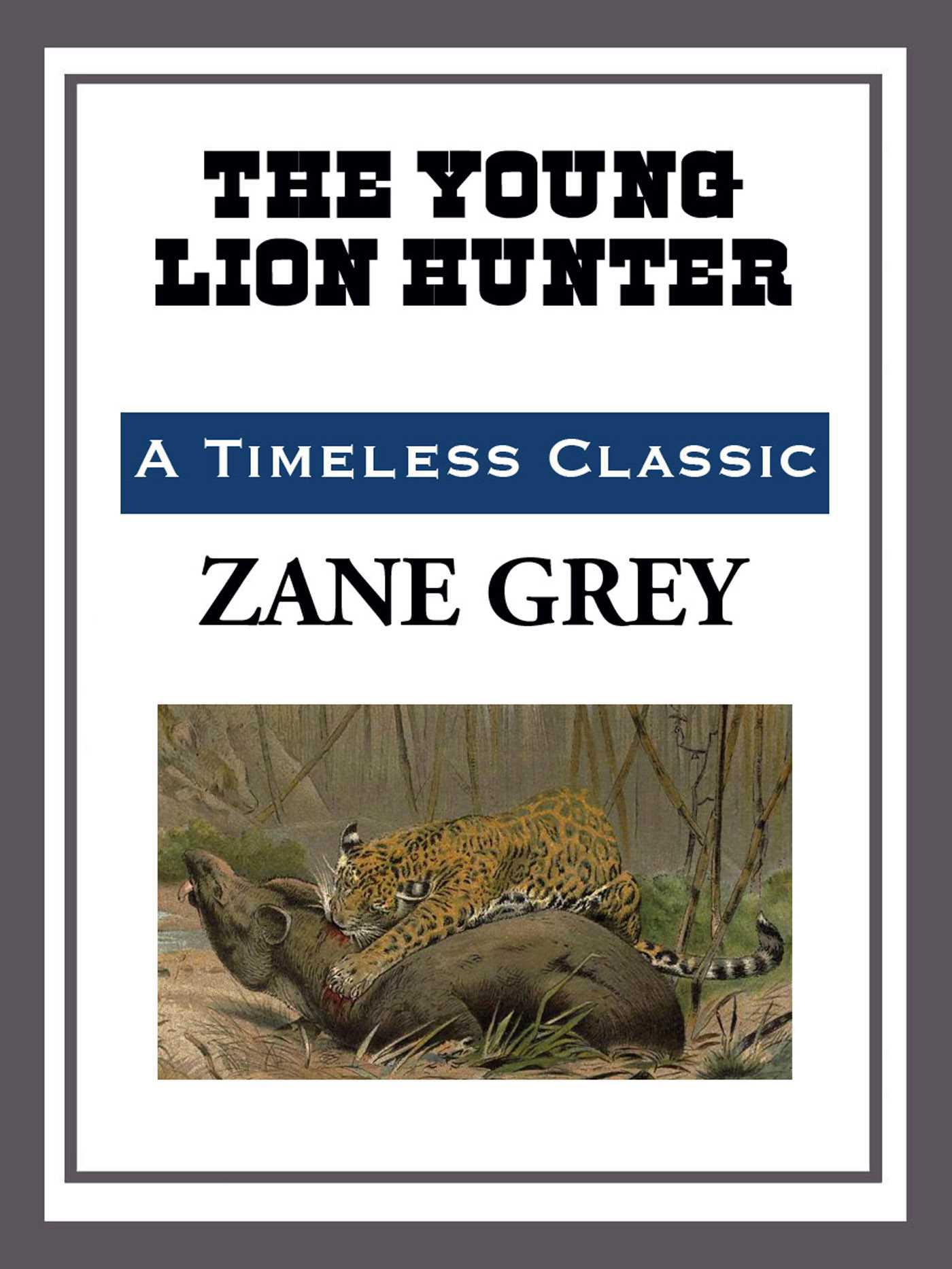 Cover image for The Young Lion Hunter