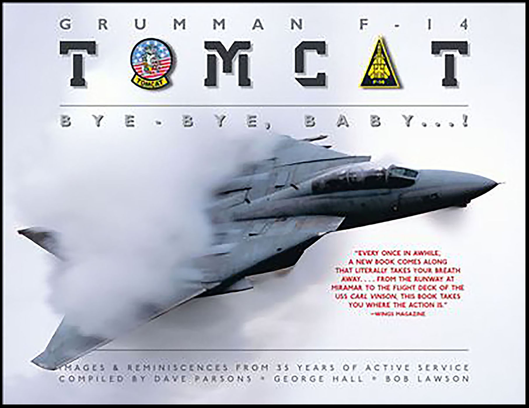 Cover image for Grumman F-14 Tomcat