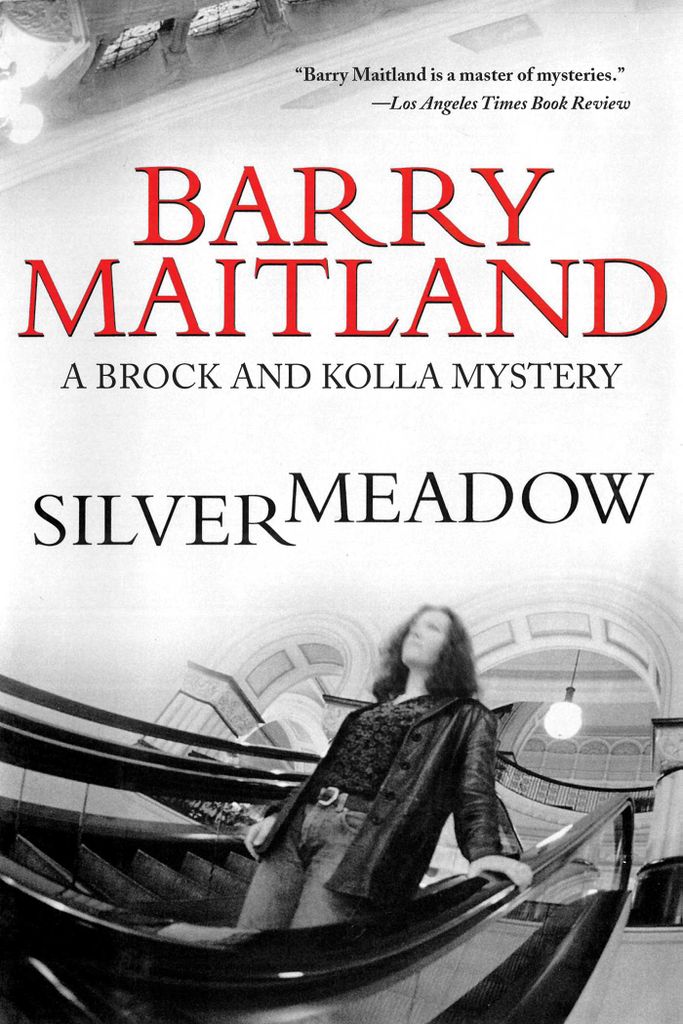 Cover image for Silvermeadow