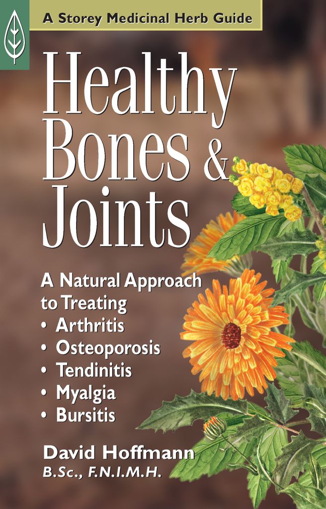 Cover image for Healthy Bones & Joints