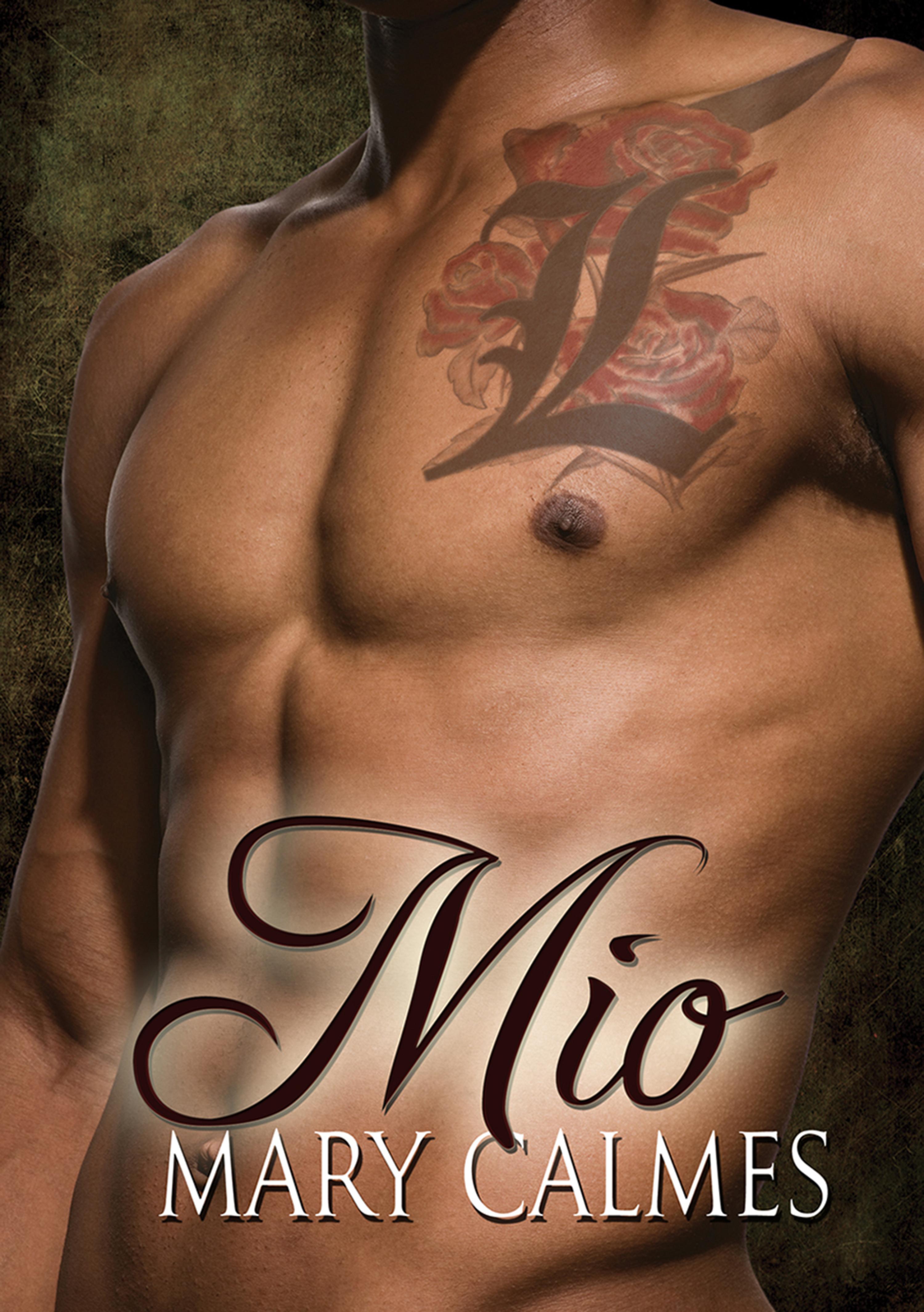 Cover image for Mio
