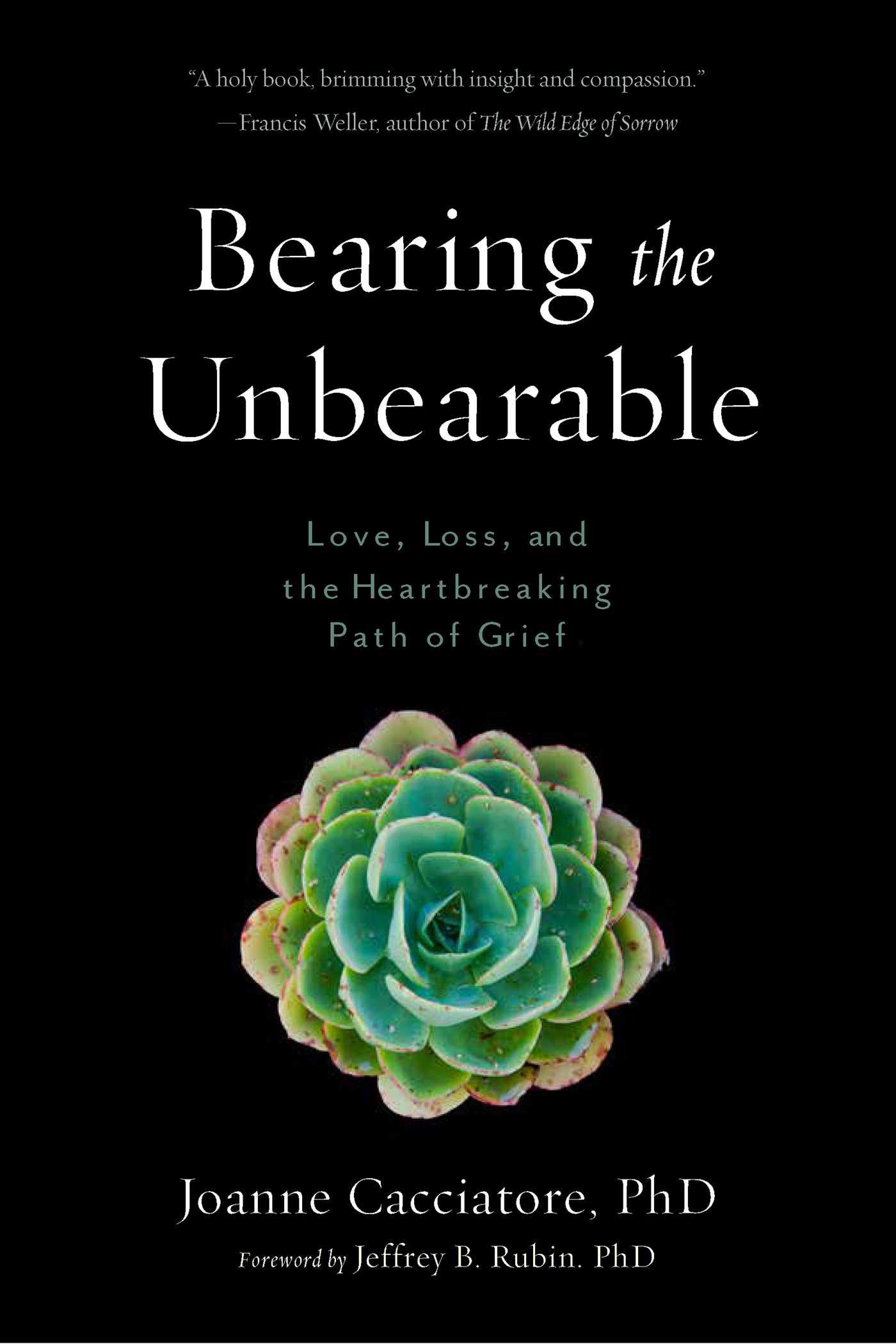 Cover image for Bearing the Unbearable