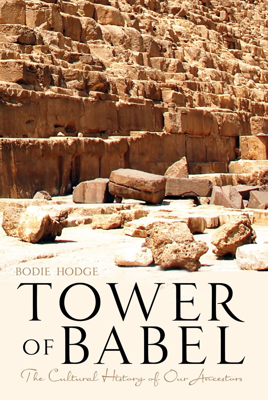 Cover image for Tower of Babel