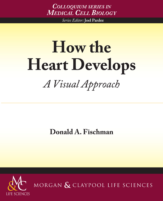 How the Heart Develops