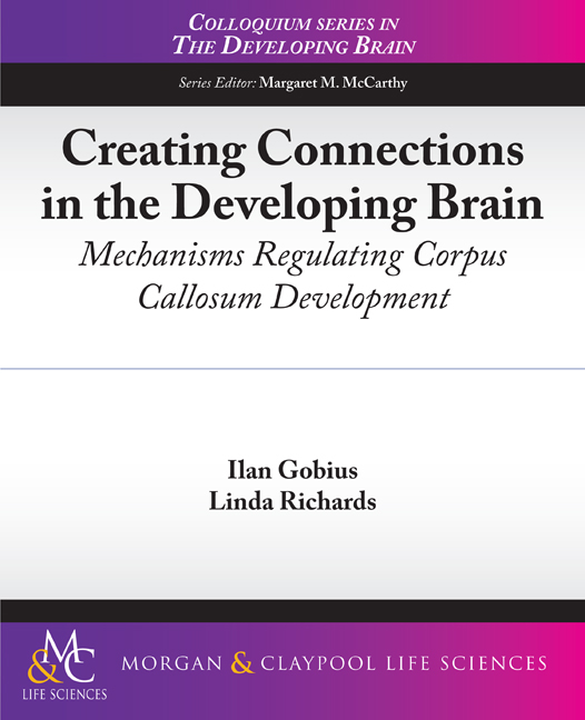 Creating Connections in the Developing Brain