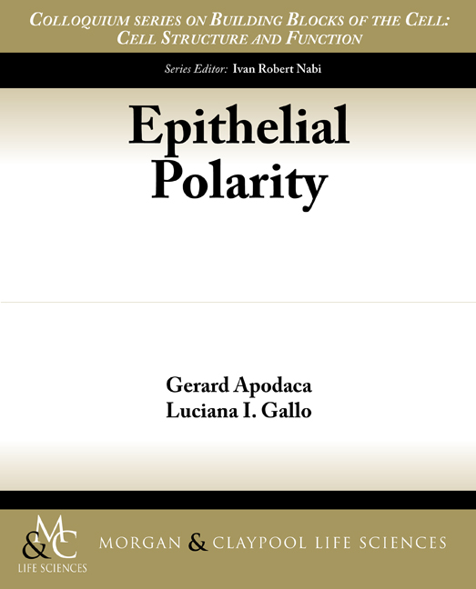 Epithelial Polarity