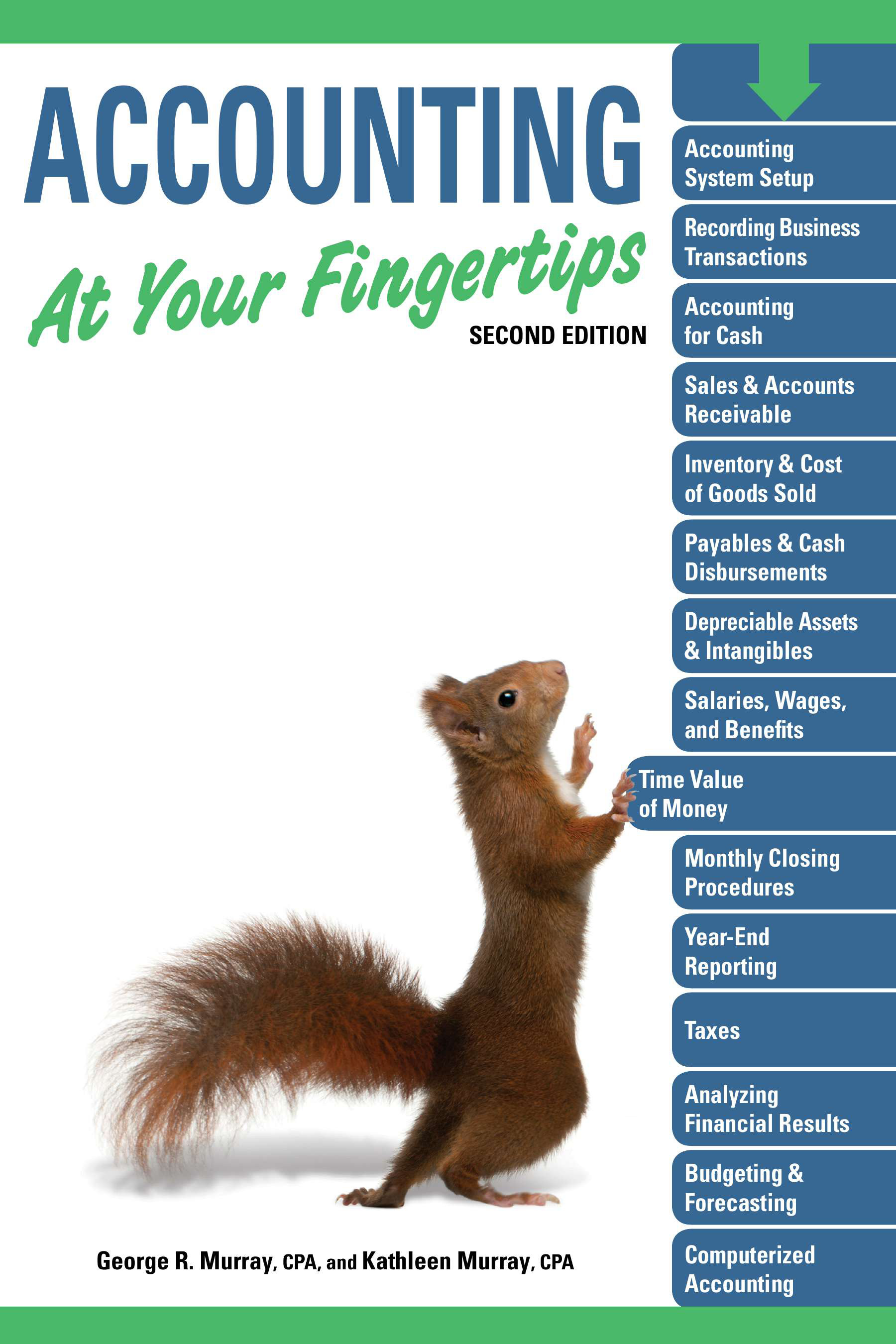 Cover image for Accounting At Your Fingertips, 2e