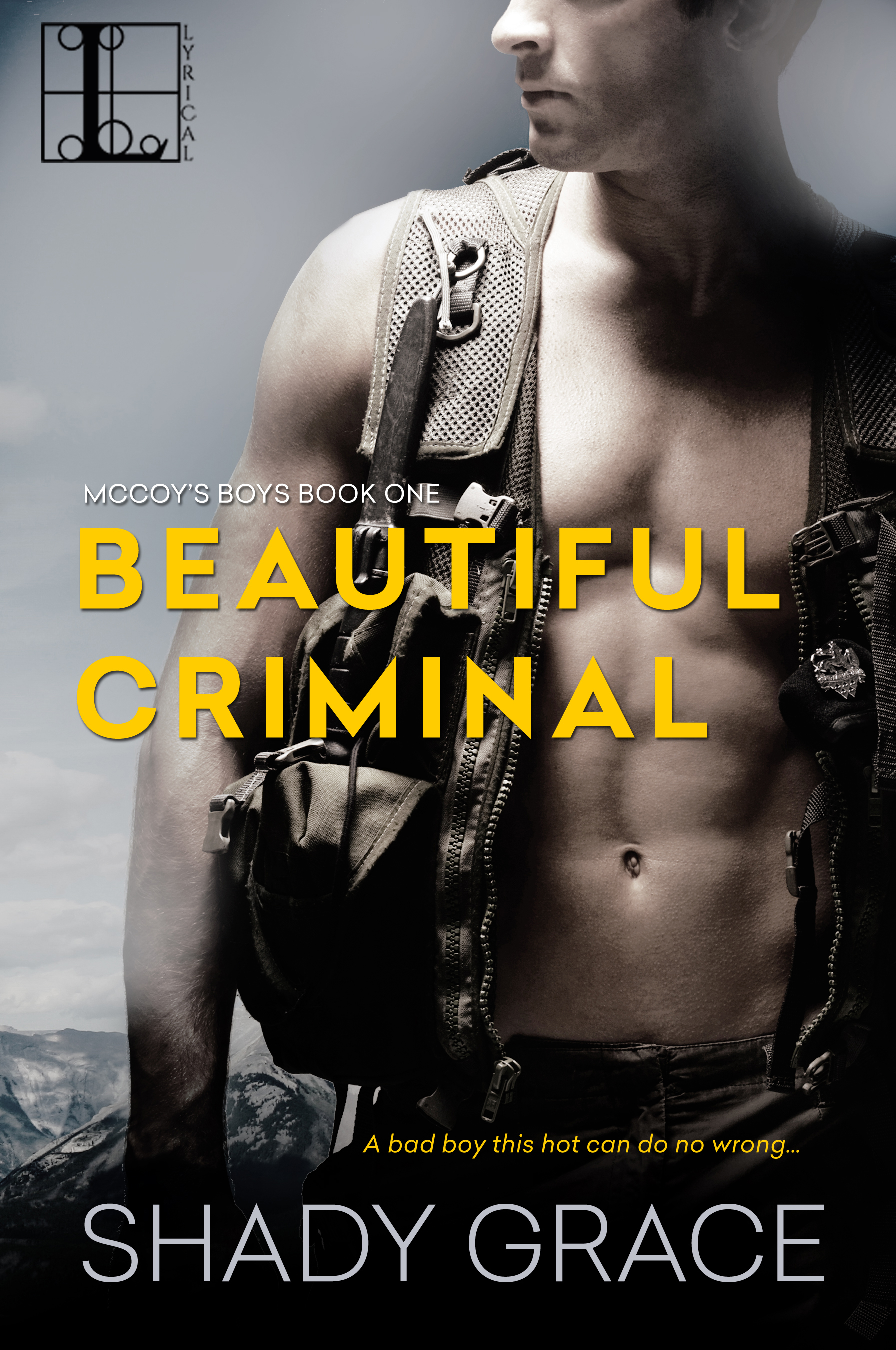 Cover image for Beautiful Criminal