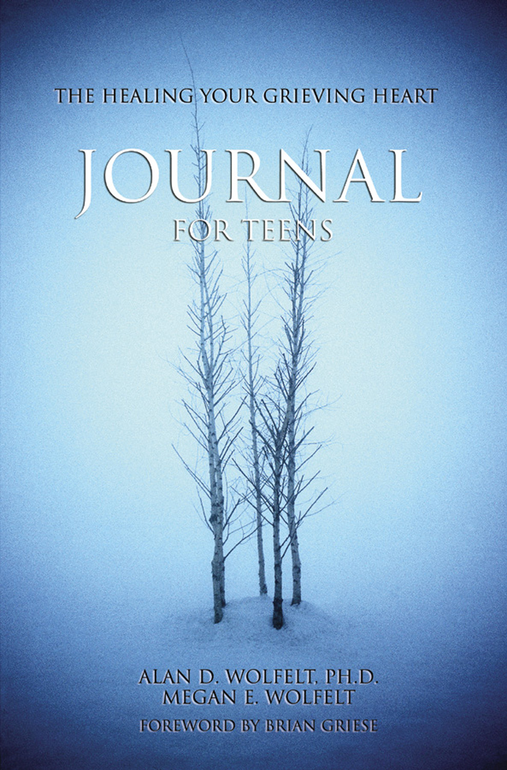 The Healing Your Grieving Heart Journal for Teens