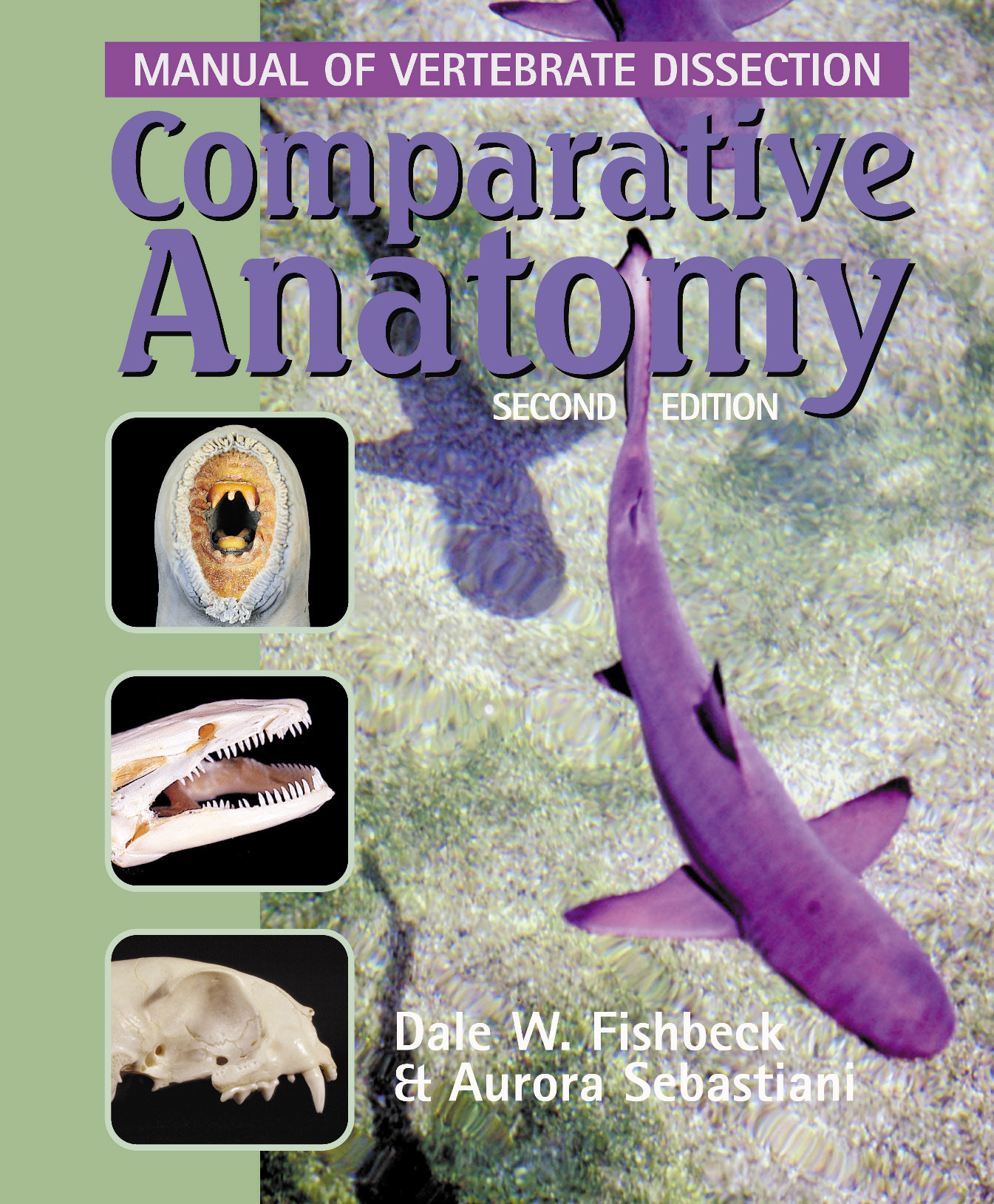 Comparative Anatomy: Manual of by: Fishbeck, Dale W