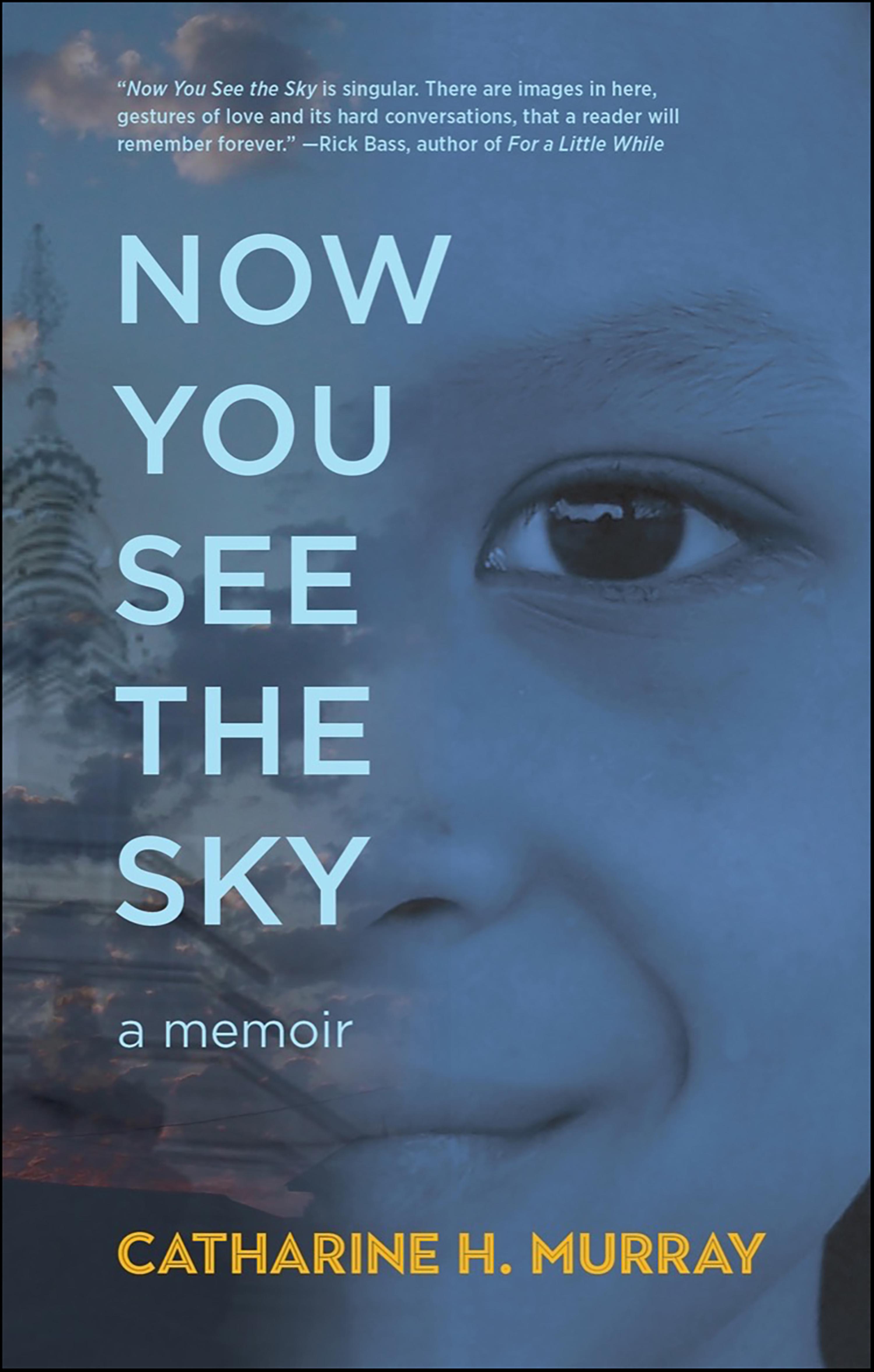 Cover image for Now You See the Sky
