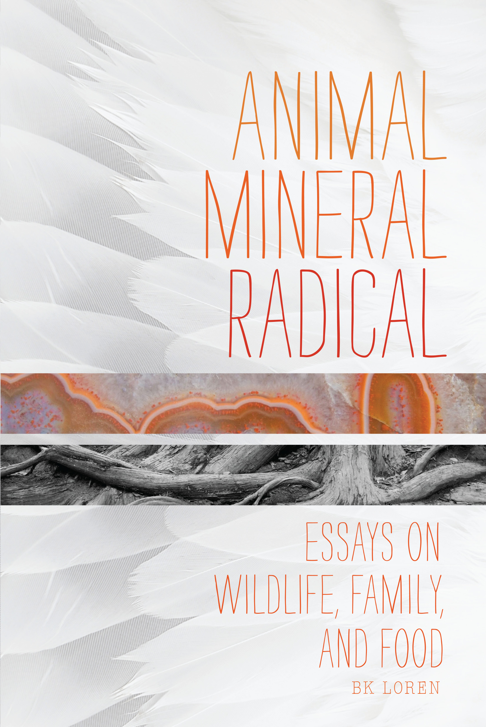 Cover image for Animal, Mineral, Radical