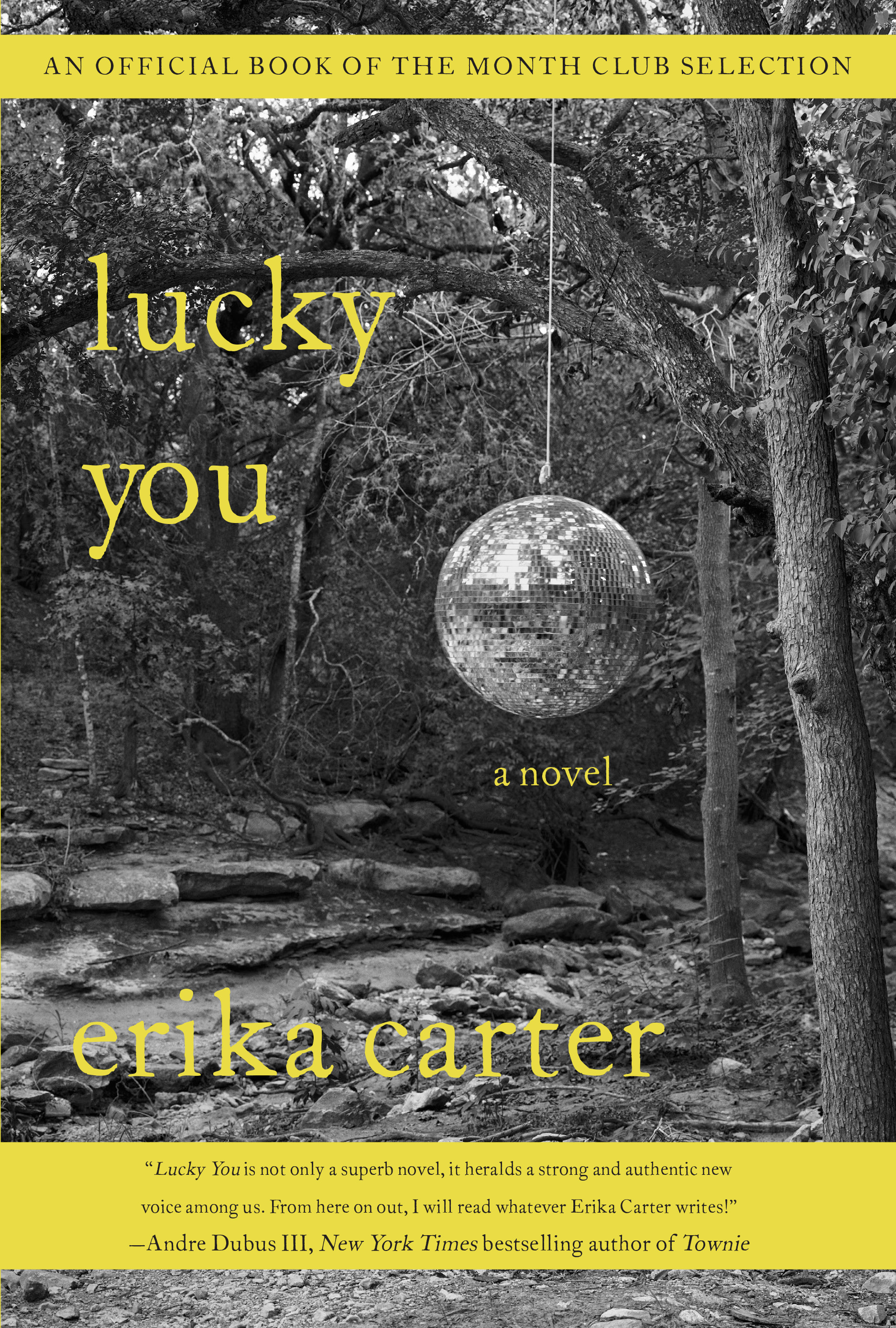 Cover image for Lucky You