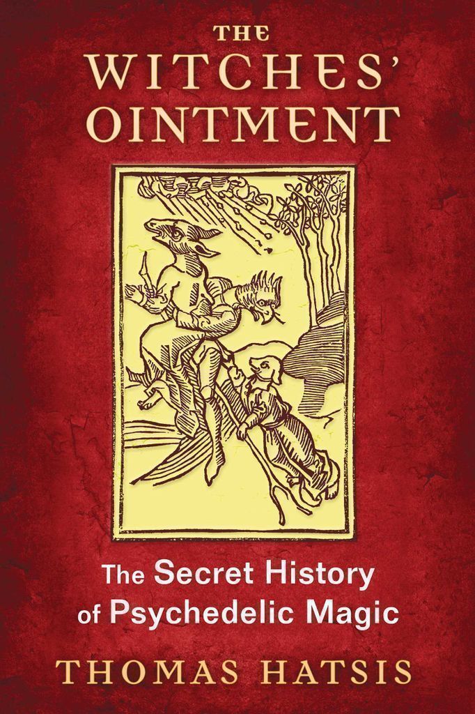 Cover image for The Witches' Ointment