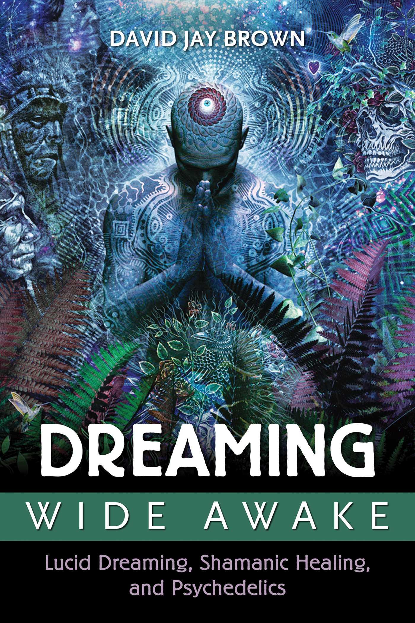 Cover image for Dreaming Wide Awake