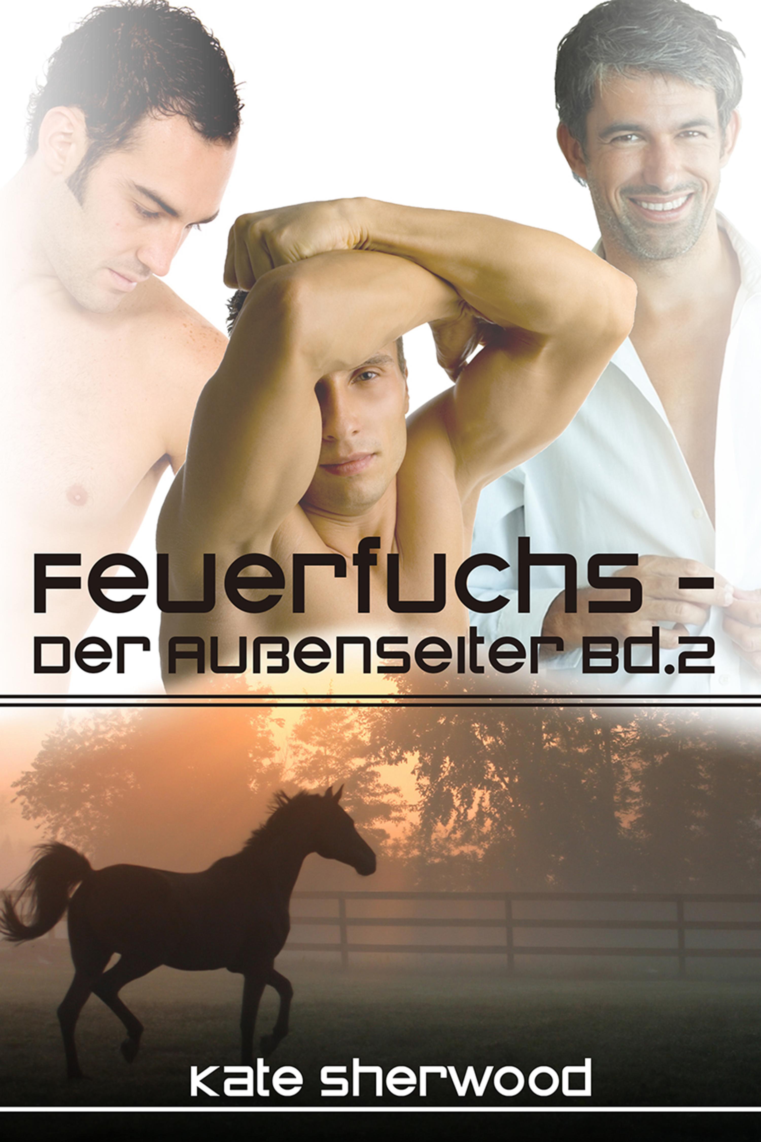 Cover image for Feuerfuchs - Der Auenseiter Bd. 2
