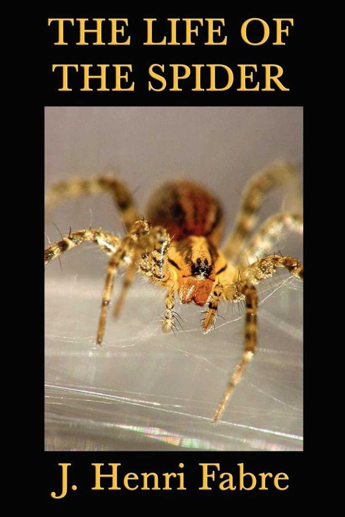 Cover image for The Life of the Spider