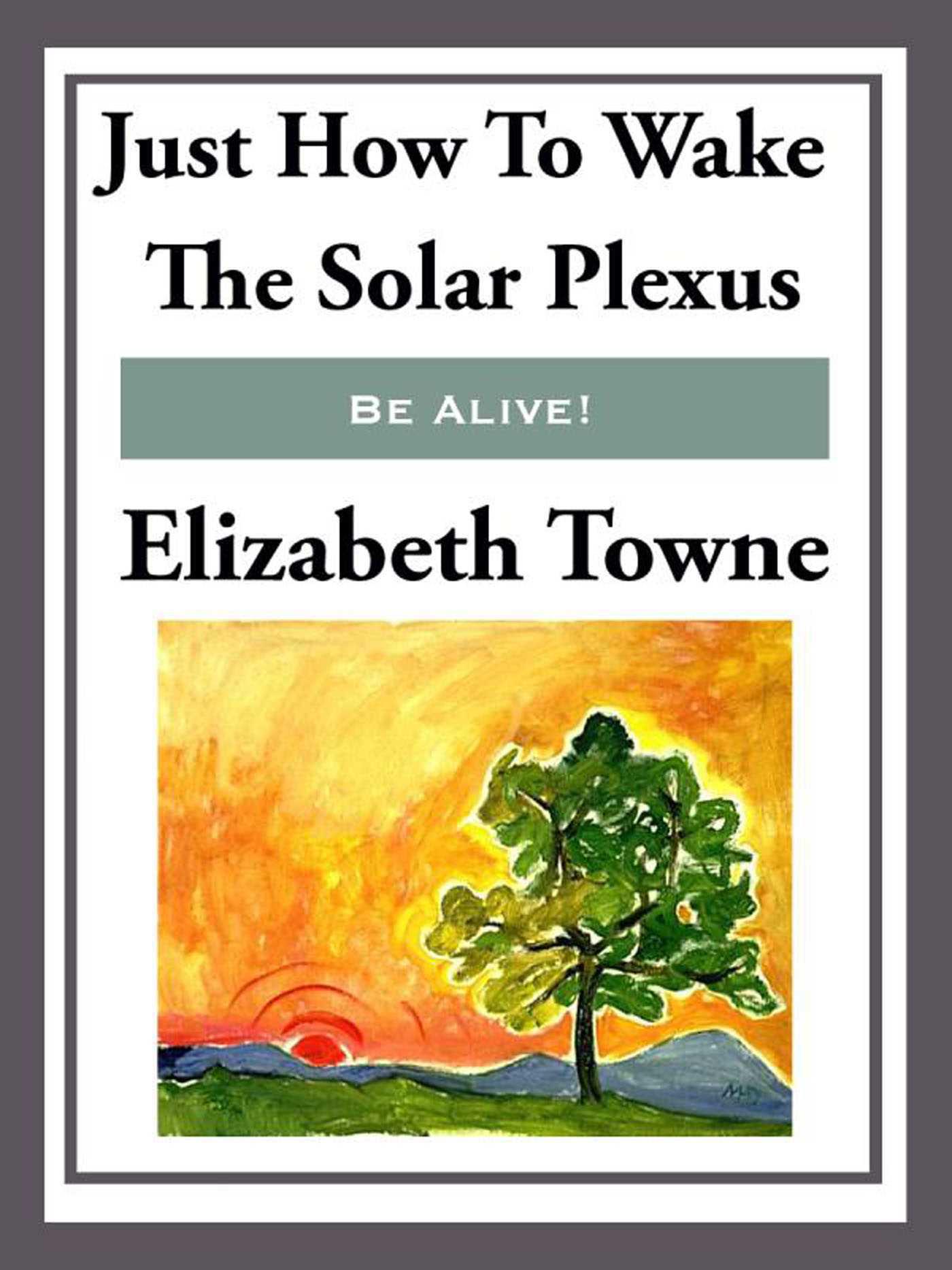 Cover image for Just How to Wake the Solar Plexus