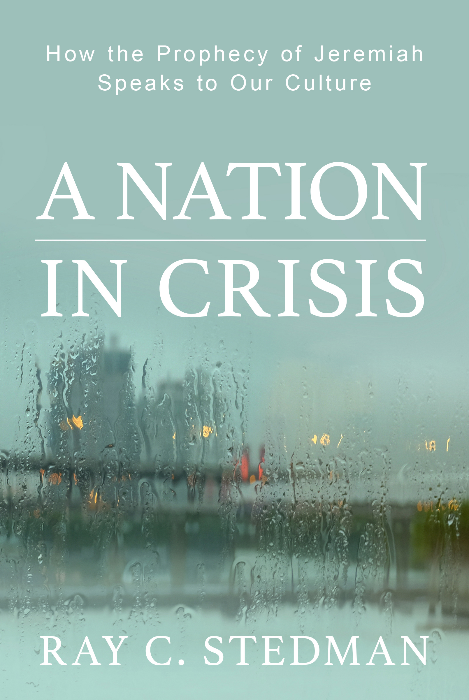 Cover image for A Nation in Crisis