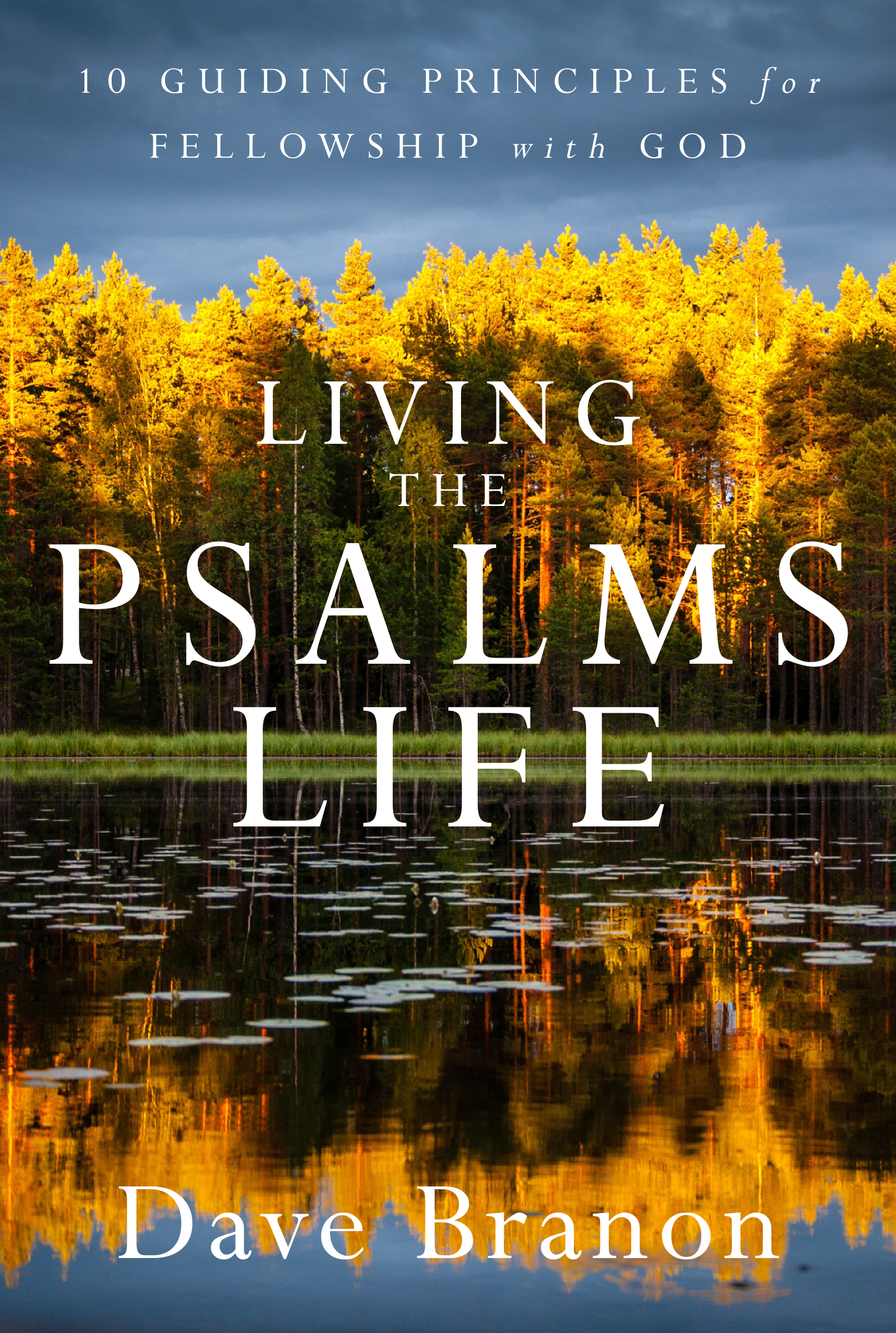 Cover image for Living the Psalms Life