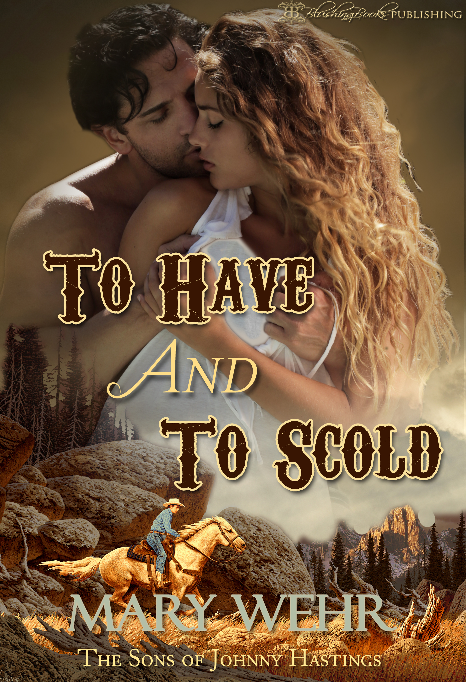 Cover image for To Have and to Scold
