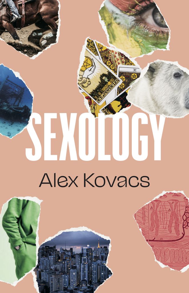 Cover image for Sexology
