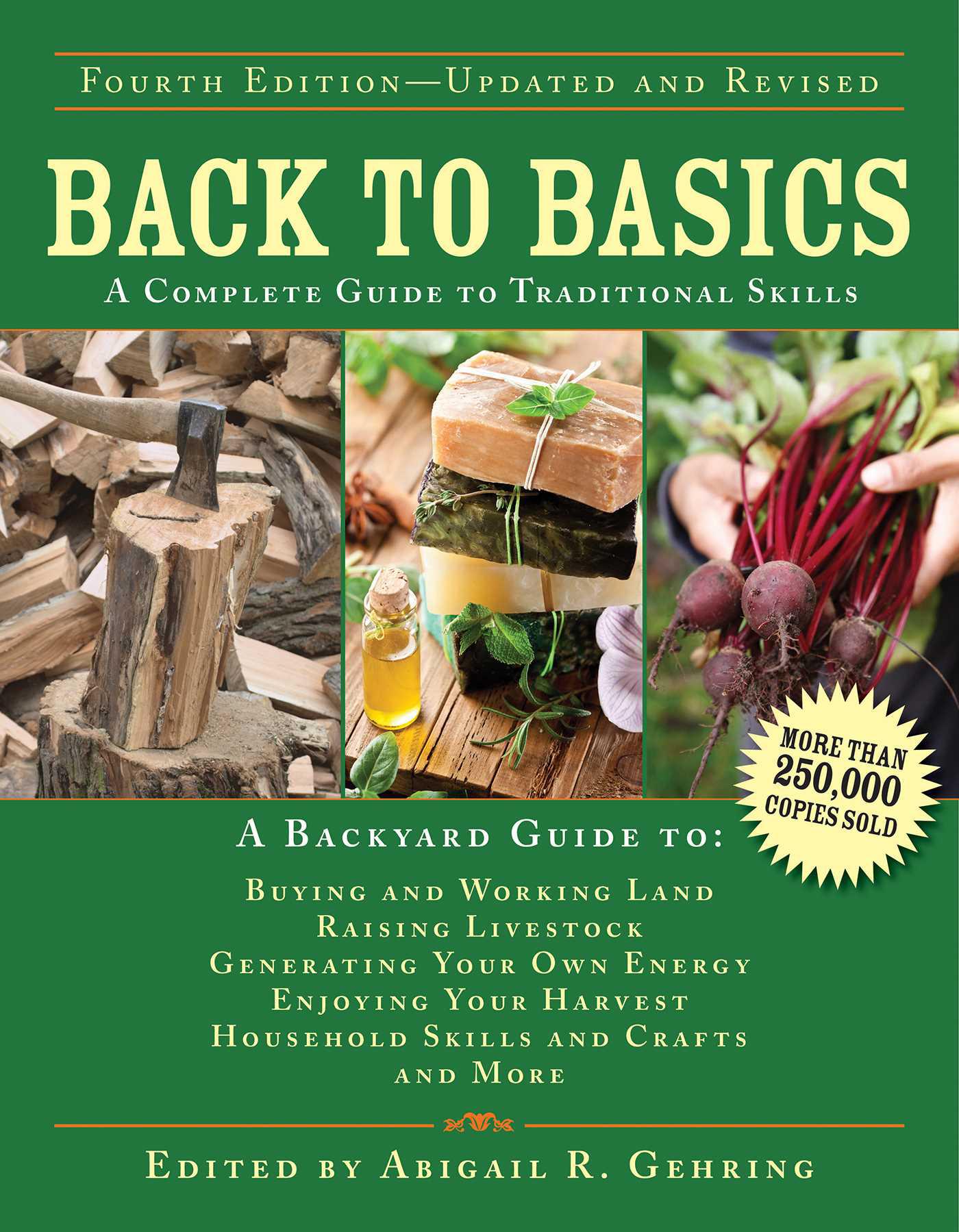 Cover image for Back to Basics