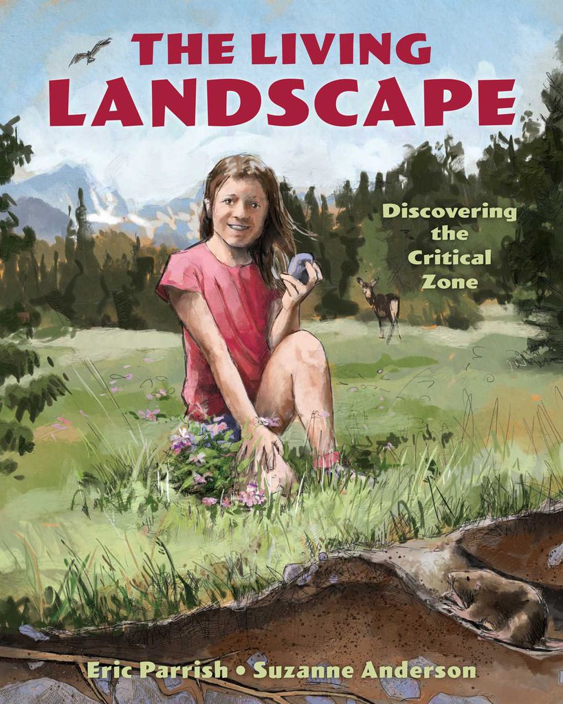 Cover image for The Living Landscape