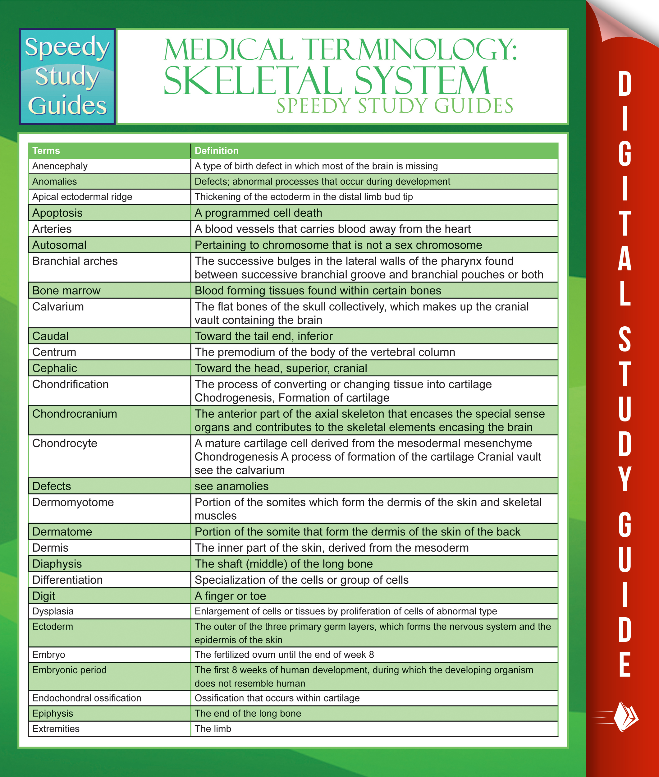 Medical Terminology: Skeletal System Speedy Study Guides