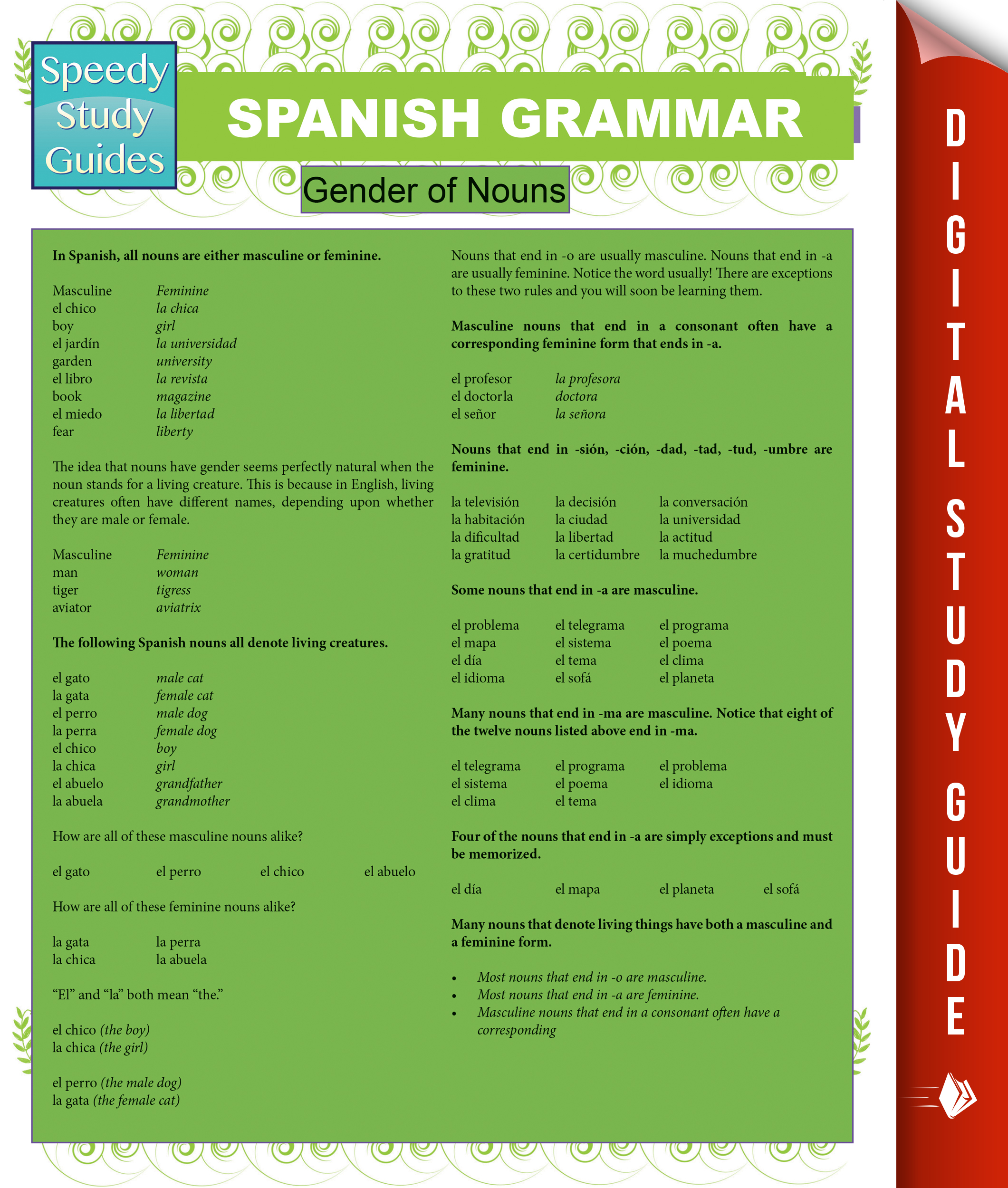 Spanish Grammar (Speedy Study Guides)