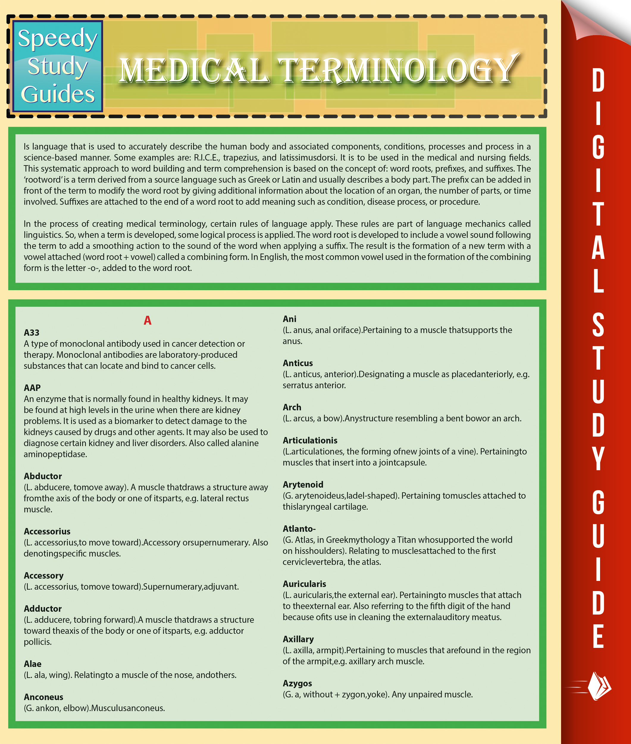 Medical Terminology (Speedy Study Guides)