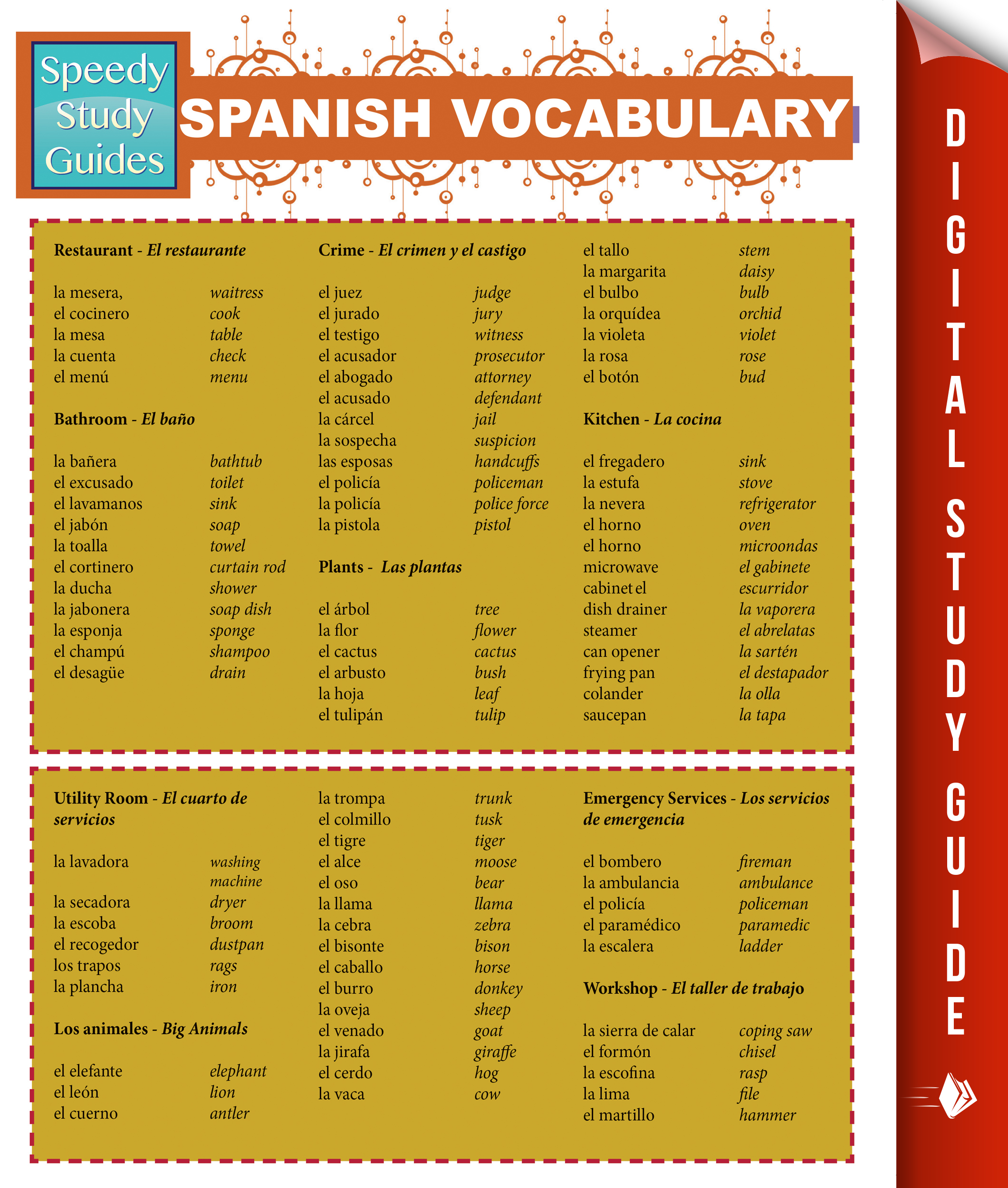 Spanish Vocabulary (Speedy Study Guides)