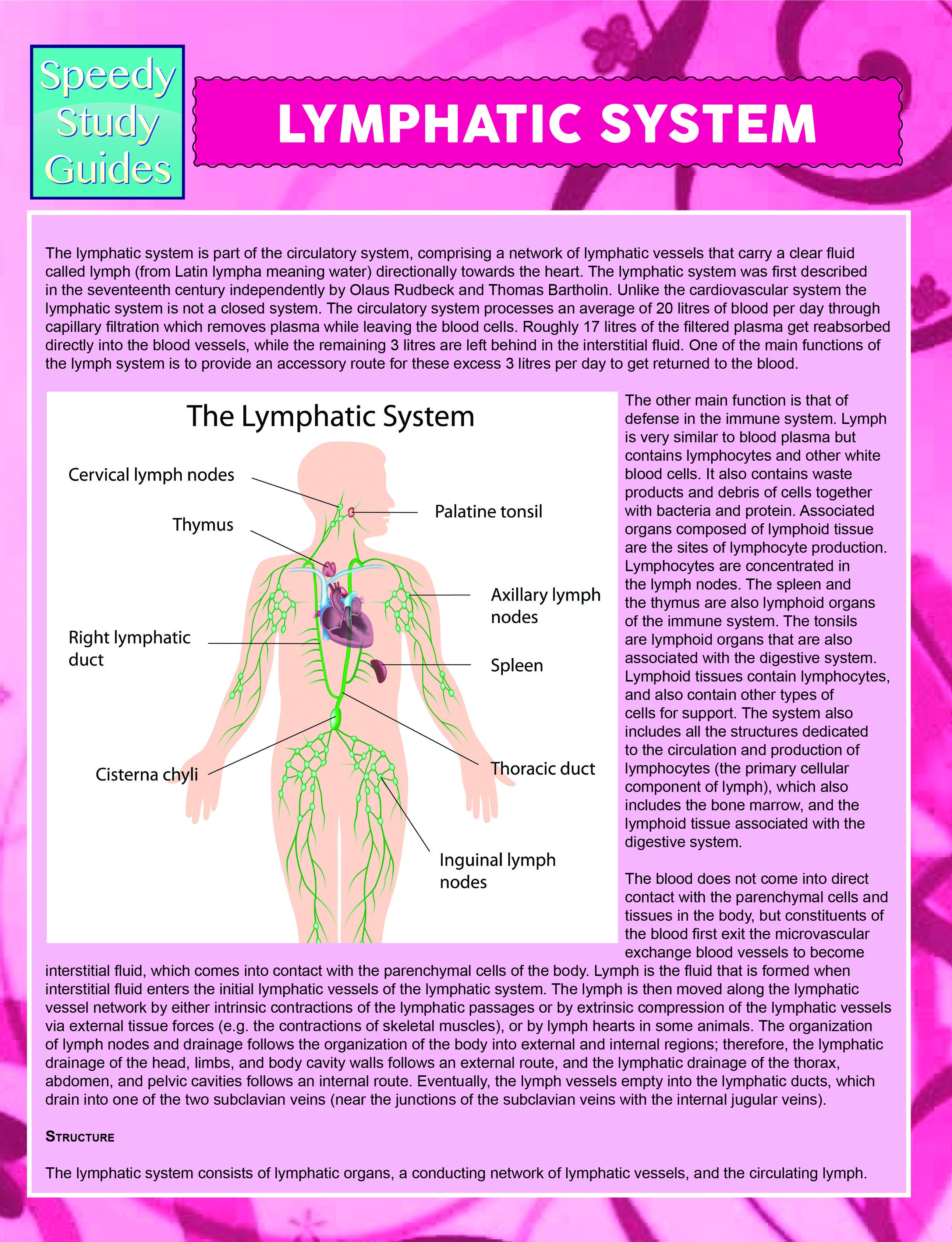 Lymphatic System