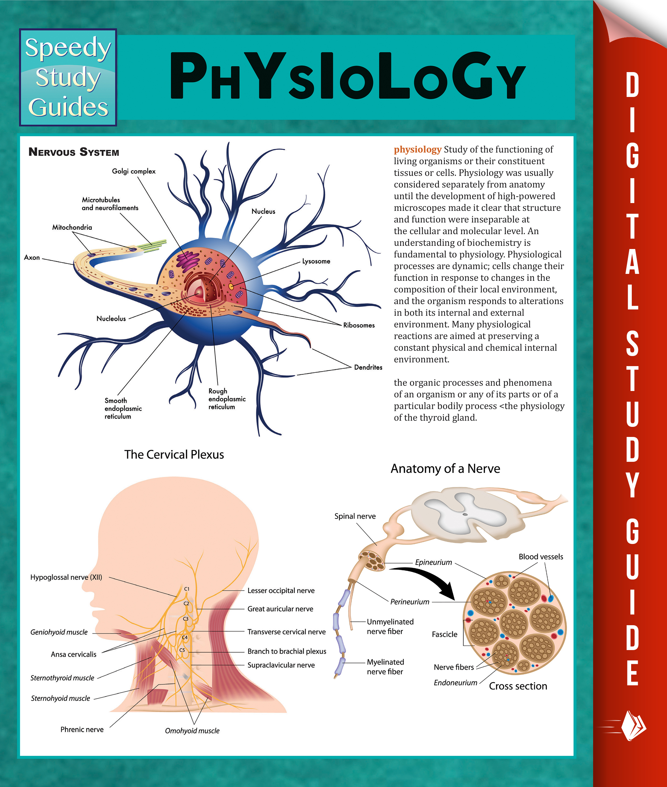 Physiology